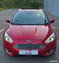 Ford Focus 2.0 TDCI 150cv TITANIUM Toit Ouvrant Goud - thumbnail 5