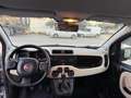 Fiat Panda LOUNGE Grigio - thumbnail 8