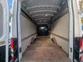 Ford Transit 350 L4 H3 Trend Allrad Klima AHK Weiß - thumbnail 9