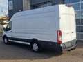 Ford Transit 350 L4 H3 Trend Allrad Klima AHK Weiß - thumbnail 4