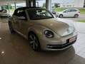 Volkswagen New Beetle 2.0 tdi Cabrio Grigio - thumbnail 1