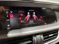 Alfa Romeo Stelvio Veloce Q4/8-FACH/PANO/MEMORY/ACC/NAVI Rot - thumbnail 36