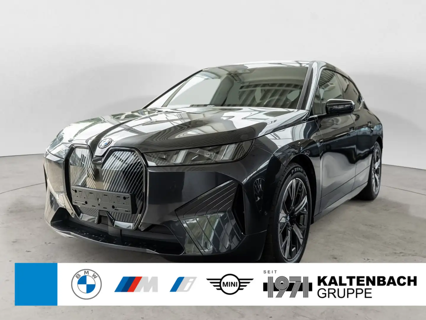 BMW iX xDrive 45 FACEL. LED ACC AHK NAVI H/K SHZ Gris - 1