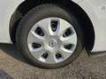 Opel Corsa 5p 1.3 cdti ecoflex CATENA DA FARE - thumbnail 9