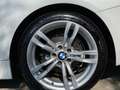 BMW 420 420d Cabrio Luxury 184cv auto Bianco - thumbnail 7
