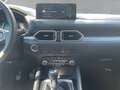Mazda CX-5 AdVantage 360° Kamera Voll-LED Navi Weiß - thumbnail 11