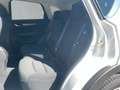 Mazda CX-5 AdVantage 360° Kamera Voll-LED Navi Weiß - thumbnail 9