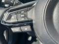 Mazda CX-5 AdVantage 360° Kamera Voll-LED Navi Weiß - thumbnail 13