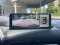 Mazda CX-5 AdVantage 360° Kamera Voll-LED Navi Weiß - thumbnail 24