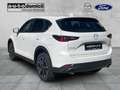 Mazda CX-5 AdVantage 360° Kamera Voll-LED Navi Weiß - thumbnail 4