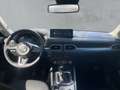 Mazda CX-5 AdVantage 360° Kamera Voll-LED Navi Weiß - thumbnail 10