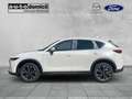 Mazda CX-5 AdVantage 360° Kamera Voll-LED Navi Weiß - thumbnail 5