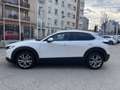 Mazda CX-30 2.0 Skyactiv-G Evolution 2WD 90kW Weiß - thumbnail 5