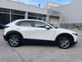 Mazda CX-30 2.0 Skyactiv-G Evolution 2WD 90kW Weiß - thumbnail 4
