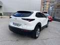 Mazda CX-30 2.0 Skyactiv-G Evolution 2WD 90kW Weiß - thumbnail 7