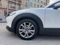 Mazda CX-30 2.0 Skyactiv-G Evolution 2WD 90kW Weiß - thumbnail 6