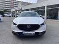 Mazda CX-30 2.0 Skyactiv-G Evolution 2WD 90kW Weiß - thumbnail 2
