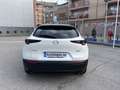 Mazda CX-30 2.0 Skyactiv-G Evolution 2WD 90kW Weiß - thumbnail 8