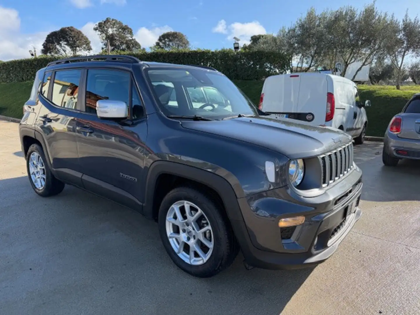 Jeep Renegade Renegade 1.6 Mjt 130 CV Limited Grigio - 2