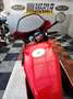 Ducati Rouge - thumbnail 9