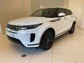Land Rover Range Rover Evoque D150 Clear Sight&Sitzheizung Wit - thumbnail 13