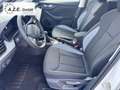 Skoda Kamiq 1.0 TSI Selection *SH*PDC*GRA*MFL*LED*ALU*MAL* ... Bianco - thumbnail 11
