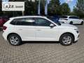 Skoda Kamiq 1.0 TSI Selection *SH*PDC*GRA*MFL*LED*ALU*MAL* ... Bianco - thumbnail 4