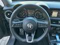 Alfa Romeo Stelvio 2.2 t Business rwd 160cv auto DANNEGGIATA Grigio - thumbnail 15
