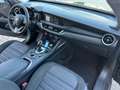 Alfa Romeo Stelvio 2.2 t Business rwd 160cv auto DANNEGGIATA Grigio - thumbnail 14