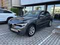 Alfa Romeo Stelvio 2.2 t Business rwd 160cv auto DANNEGGIATA Grigio - thumbnail 1
