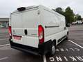Citroen Jumper 33 L2H1 2.2 BLUEHDI 120 S\u0026S DRIVER Blanc - thumbnail 9