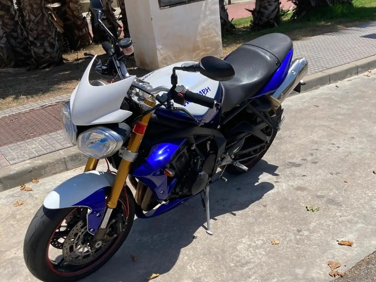 Triumph Street Triple 675 Azul - 2