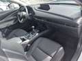 Mazda CX-30 2.0 Skyactiv-G Zenith 2WD 90kW Blanco - thumbnail 23