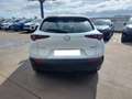 Mazda CX-30 2.0 Skyactiv-G Zenith 2WD 90kW Blanco - thumbnail 6