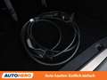 Ford Tourneo Custom 1.0 Plug-in Hybrid 320 L1 Titanium Grau - thumbnail 32