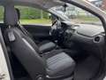 Fiat Punto Evo 1.3 M-Jet Mylife *AIRCO Bianco - thumbnail 6