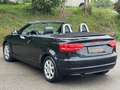 Audi A3 Cabriolet 1,6 TDI Comfort Edition DPF Noir - thumbnail 13