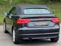 Audi A3 Cabriolet 1,6 TDI Comfort Edition DPF Noir - thumbnail 12