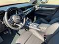 Alfa Romeo Stelvio 2.2 Turbodiesel 210 CV AT8 Q4 Veloce PRONTA CONSE - thumbnail 13