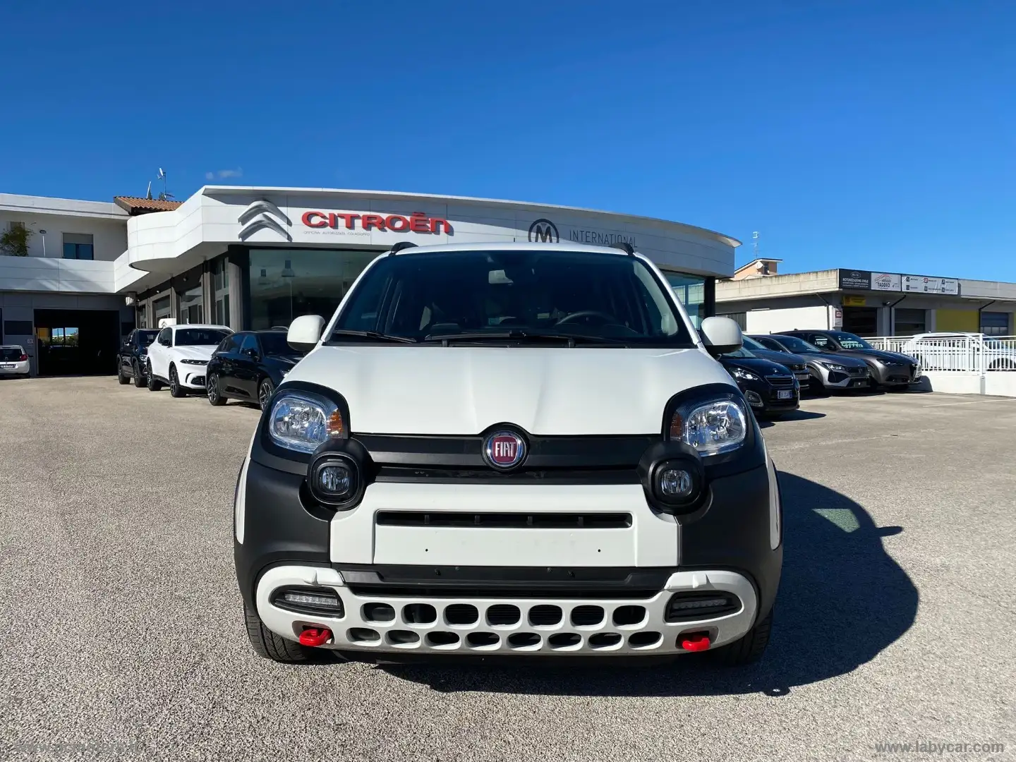 Fiat Panda Cross 1.0 FireFly S&S Hybrid Blanc - 2