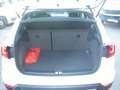 SEAT Arona 1.0 TGI Xcellence Bianco - thumbnail 9