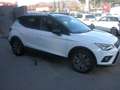SEAT Arona 1.0 TGI Xcellence Bianco - thumbnail 5