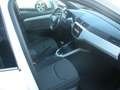 SEAT Arona 1.0 TGI Xcellence Bianco - thumbnail 6