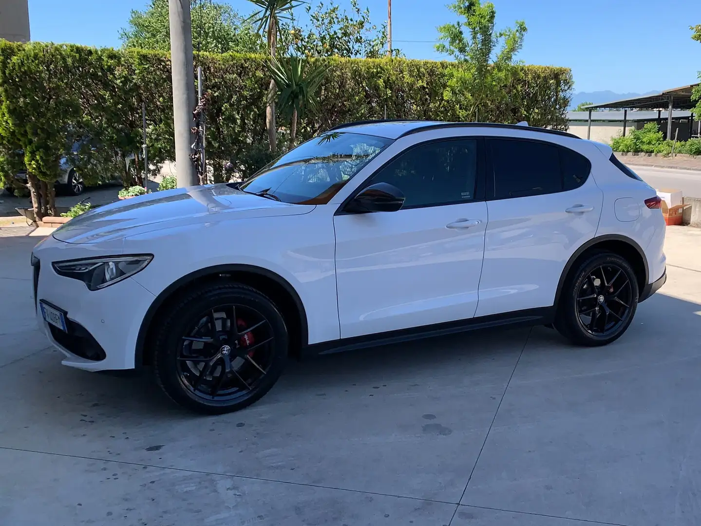 Alfa Romeo Stelvio 2.2 210cv B-Tech Bianco - 1