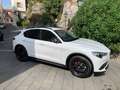 Alfa Romeo Stelvio 2.2 210cv B-Tech Bianco - thumbnail 2