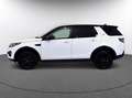Land Rover Discovery Sport 2.0eD4 SE FWD 150 Blanco - thumbnail 6