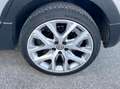 Volkswagen Polo Cross 1.4 Diesel 90CV E6 Automatica - 2016 Argento - thumbnail 13