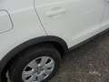 Audi Q3 2.0 TDI ~ 1.Hd ~ 127.000 km ~ Weiß - thumbnail 11
