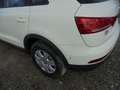 Audi Q3 2.0 TDI ~ 1.Hd ~ 127.000 km ~ Weiß - thumbnail 10