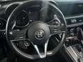 Alfa Romeo Stelvio 2.0 t Executive Q4 280cv auto Grigio - thumbnail 6